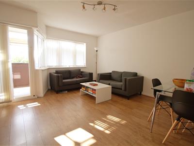 Picture 3